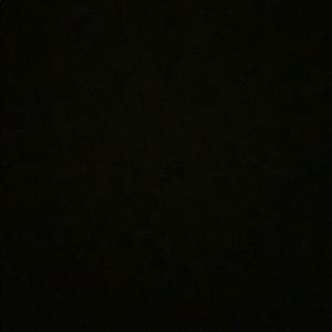 Meet your Posher, Bailey